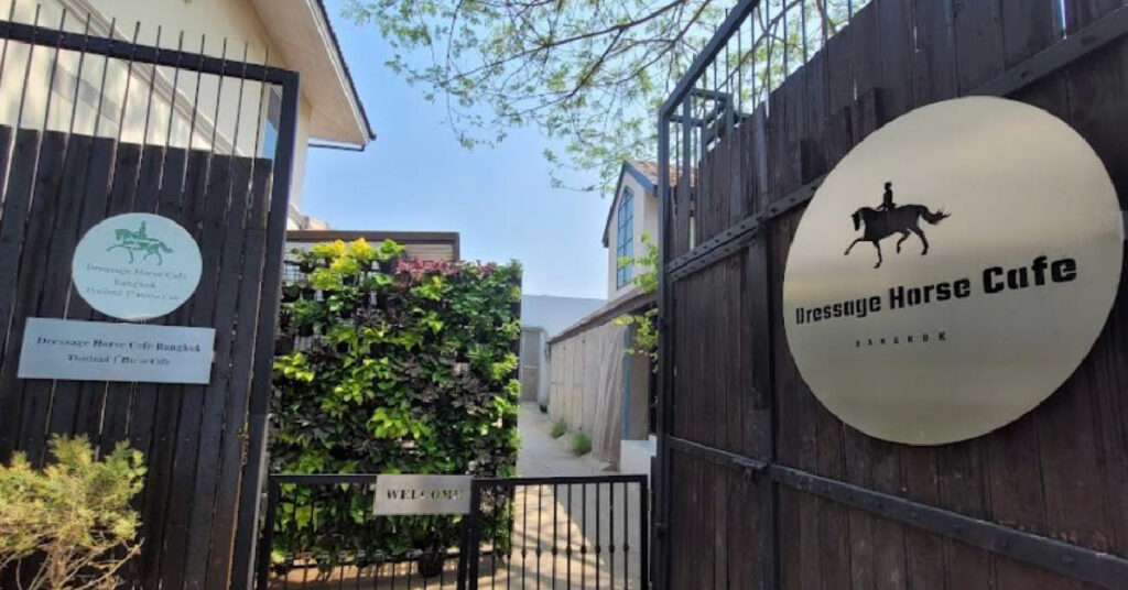 Dressage Horse Cafe Bangkok
