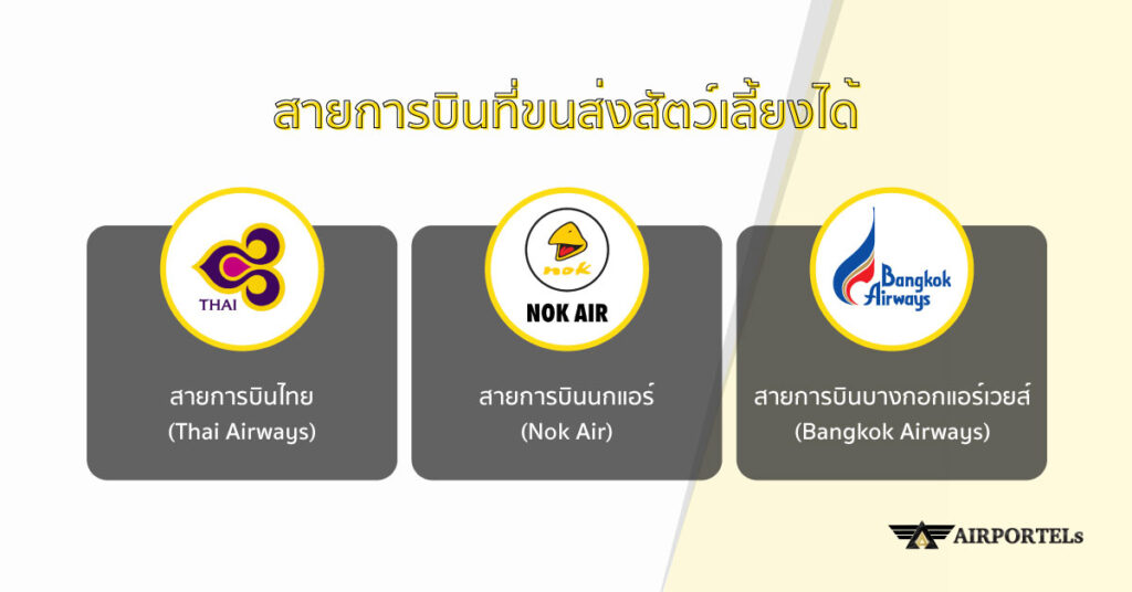สายการบินที่ขนส่งสัตว์เลี้ยงได้