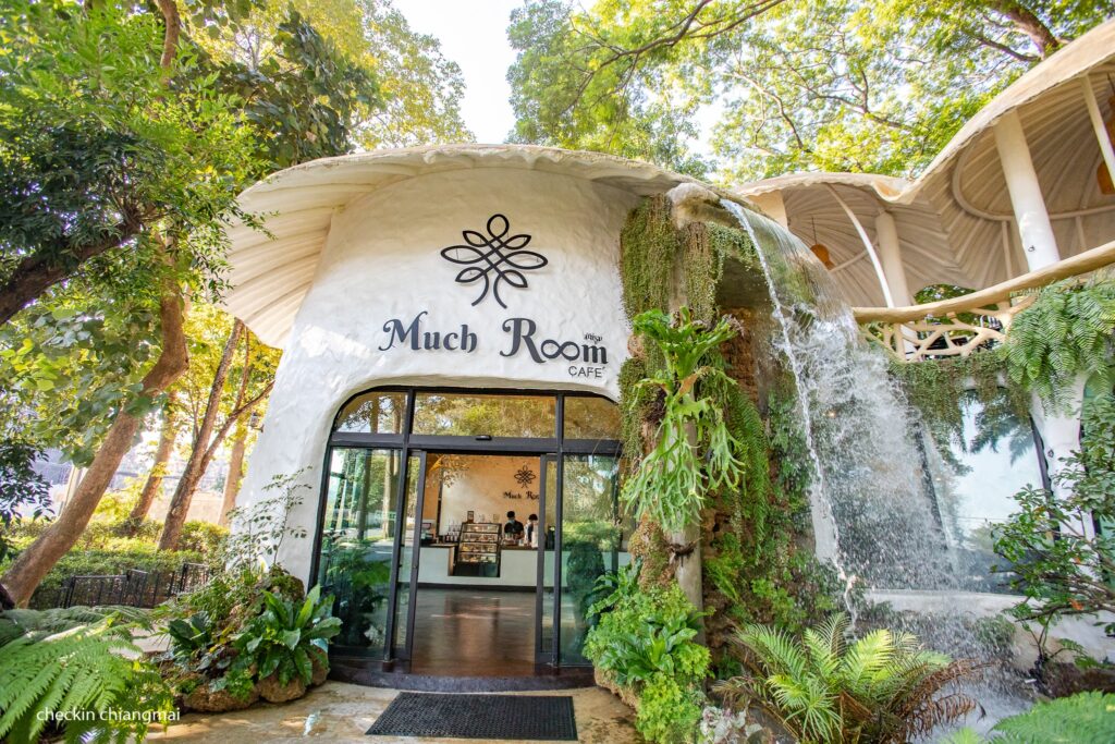Much Room Cafe Chiangmai