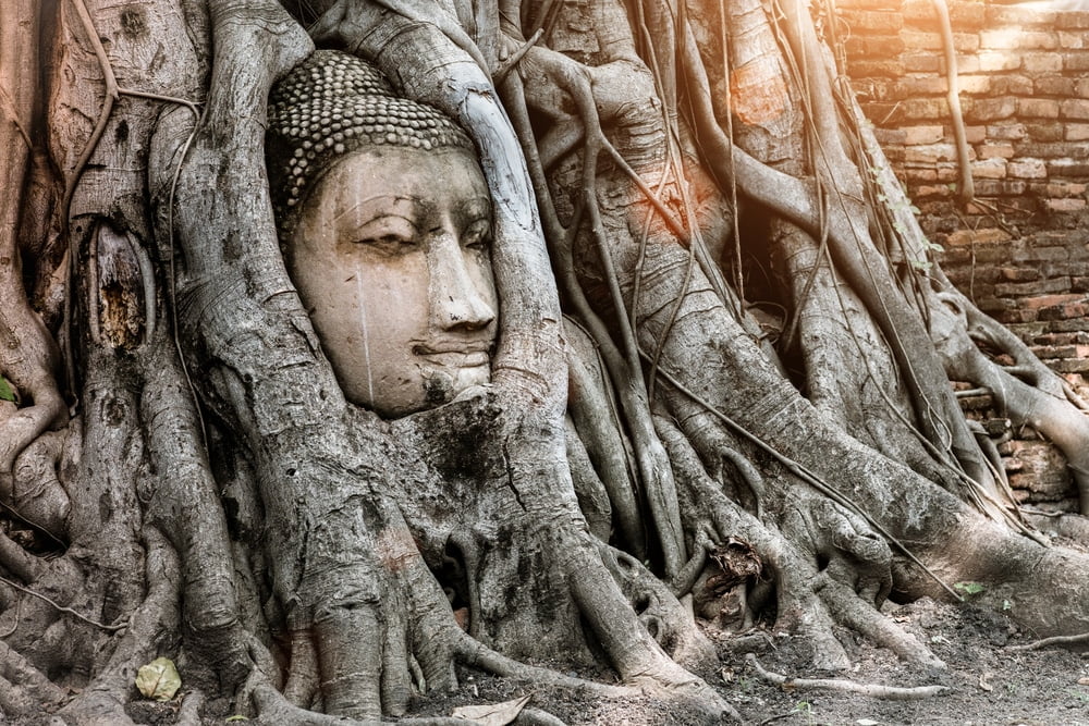 Ayutthaya Buddha Head statue,Ayutthaya temple