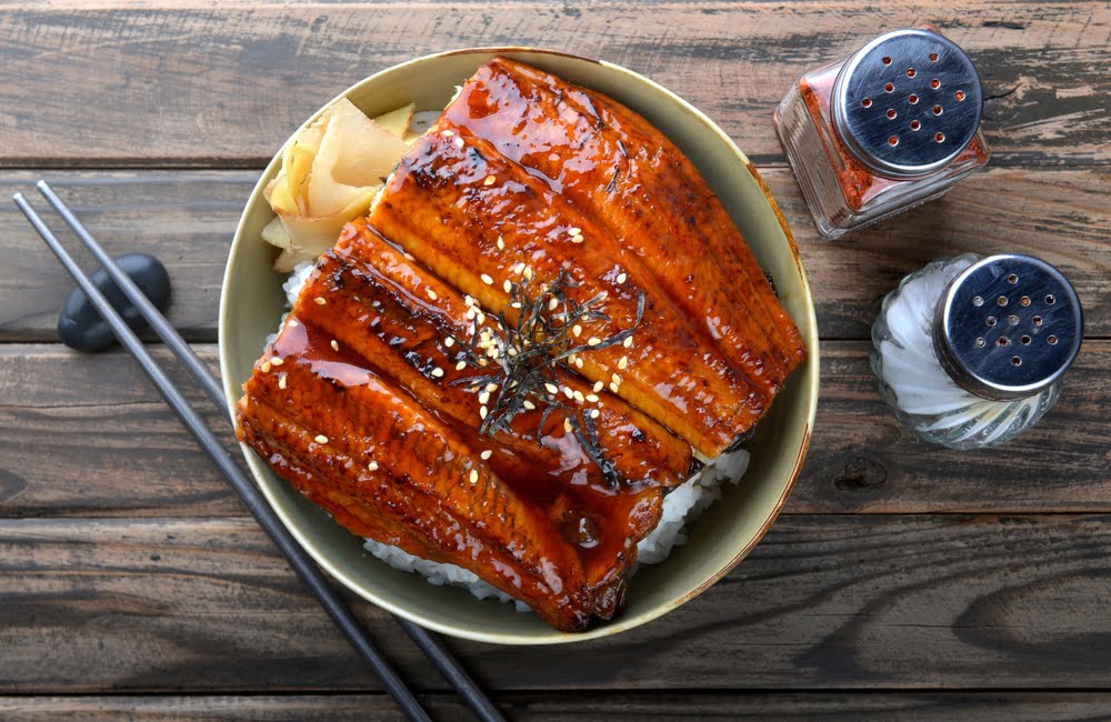 Japanese eel grilled with rice,อาหารแนะนำที่ญี่ปุ่น 