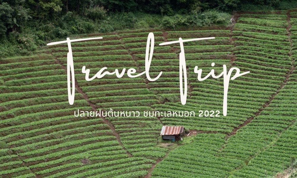 ที่เที่ยวปลายฝนต้นหนาว